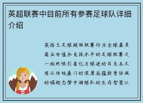 英超联赛中目前所有参赛足球队详细介绍
