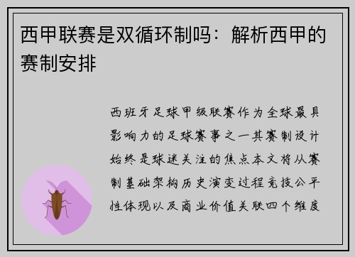 西甲联赛是双循环制吗：解析西甲的赛制安排